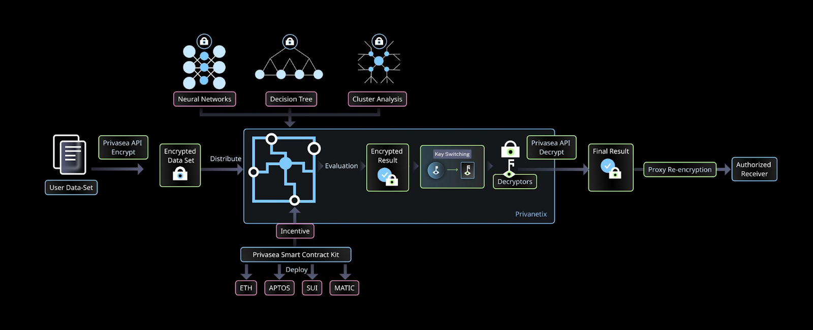 MT Capital 研报：Privasea，将全同态加密引入Mass Adoption